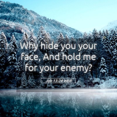 Picture 05 - Job 13:24 WEB - Why hide you your face, And hold me for your - Bible Verse Picture