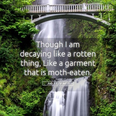 Picture 05 - Job 13:28 WEB - Though I am decaying like a rotten thing, Like a - Bible Verse Picture