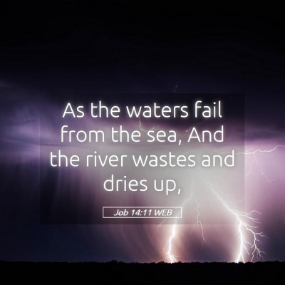 Picture 05 - Job 14:11 WEB - As the waters fail from the sea, And the river - Bible Verse Picture