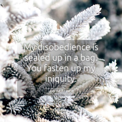 Picture 05 - Job 14:17 WEB - My disobedience is sealed up in a bag. You fasten - Bible Verse Picture