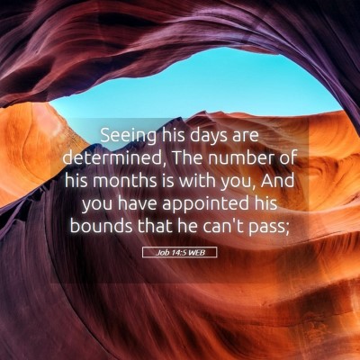 Picture 05 - Job 14:5 WEB - Seeing his days are determined, The number of his - Bible Verse Picture
