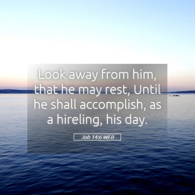 Picture 05 - Job 14:6 WEB - Look away from him, that he may rest, Until he - Bible Verse Picture