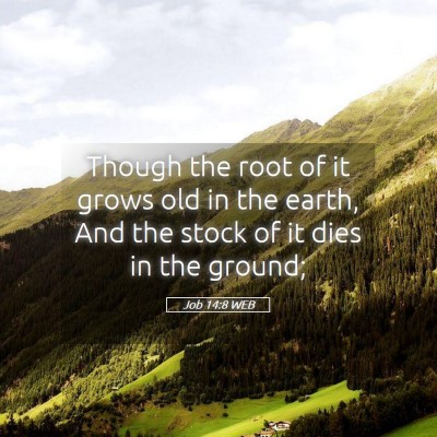 Picture 05 - Job 14:8 WEB - Though the root of it grows old in the earth, And - Bible Verse Picture