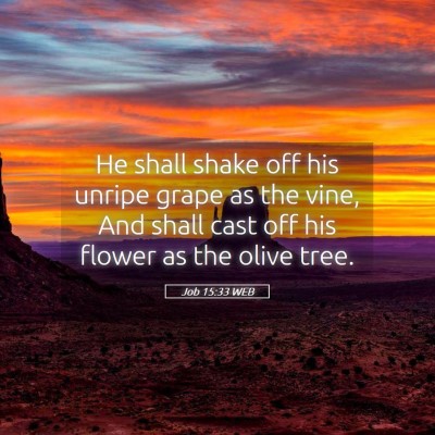 Picture 05 - Job 15:33 WEB - He shall shake off his unripe grape as the vine, - Bible Verse Picture