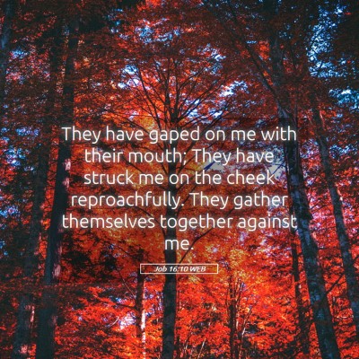 Picture 05 - Job 16:10 WEB - They have gaped on me with their mouth; They have - Bible Verse Picture