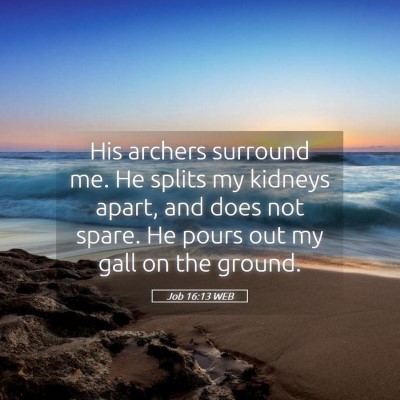 Picture 05 - Job 16:13 WEB - His archers surround me. He splits my kidneys - Bible Verse Picture