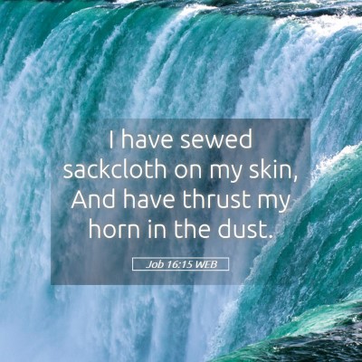 Picture 05 - Job 16:15 WEB - I have sewed sackcloth on my skin, And have - Bible Verse Picture