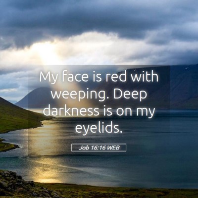 Picture 05 - Job 16:16 WEB - My face is red with weeping. Deep darkness is on - Bible Verse Picture