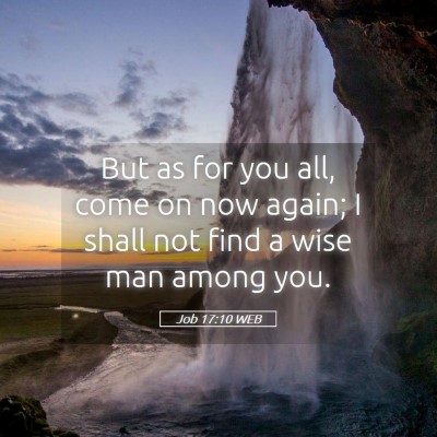 Picture 05 - Job 17:10 WEB - But as for you all, come on now again; I shall - Bible Verse Picture