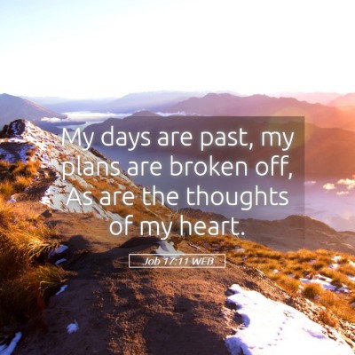 Picture 05 - Job 17:11 WEB - My days are past, my plans are broken off, As are - Bible Verse Picture
