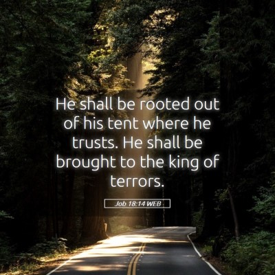 Picture 05 - Job 18:14 WEB - He shall be rooted out of his tent where he - Bible Verse Picture