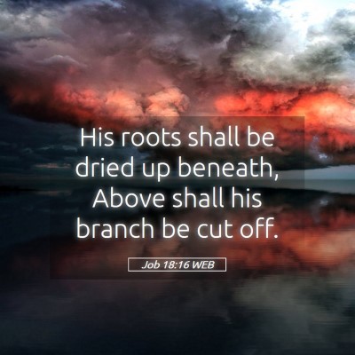 Picture 05 - Job 18:16 WEB - His roots shall be dried up beneath, Above shall - Bible Verse Picture