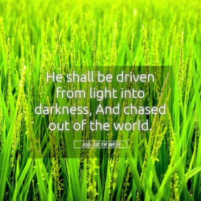 Picture 05 - Job 18:18 WEB - He shall be driven from light into darkness, And - Bible Verse Picture