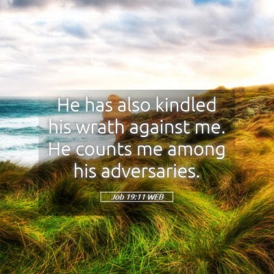 Picture 05 - Job 19:11 WEB - He has also kindled his wrath against me. He - Bible Verse Picture