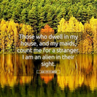 Picture 05 - Job 19:15 WEB - Those who dwell in my house, and my maids, count - Bible Verse Picture