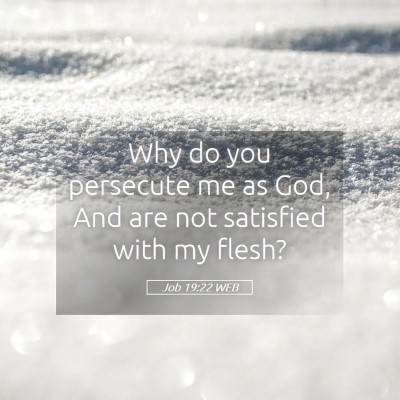 Picture 05 - Job 19:22 WEB - Why do you persecute me as God, And are not - Bible Verse Picture
