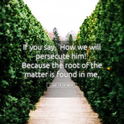 Picture 05 - Job 19:28 WEB - If you say, 'How we will persecute him!' Because - Bible Verse Picture
