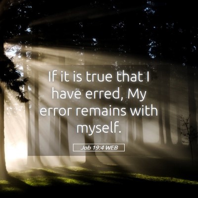 Picture 05 - Job 19:4 WEB - If it is true that I have erred, My error remains - Bible Verse Picture