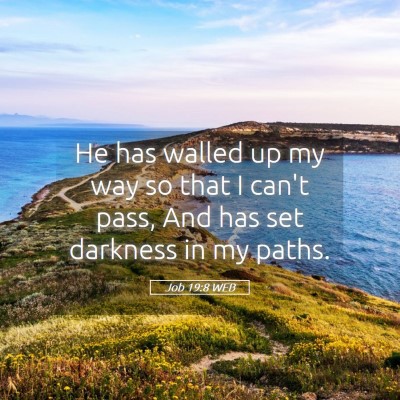 Picture 05 - Job 19:8 WEB - He has walled up my way so that I can't pass, And - Bible Verse Picture