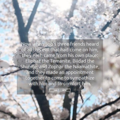 Picture 05 - Job 2:11 WEB - Now when Job's three friends heard of all this - Bible Verse Picture