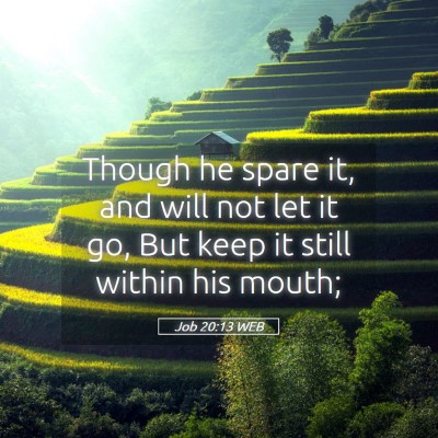 Picture 05 - Job 20:13 WEB - Though he spare it, and will not let it go, But - Bible Verse Picture