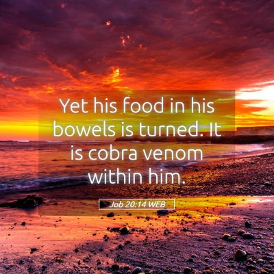 Picture 05 - Job 20:14 WEB - Yet his food in his bowels is turned. It is cobra - Bible Verse Picture