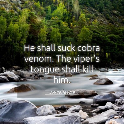 Picture 05 - Job 20:16 WEB - He shall suck cobra venom. The viper's tongue - Bible Verse Picture