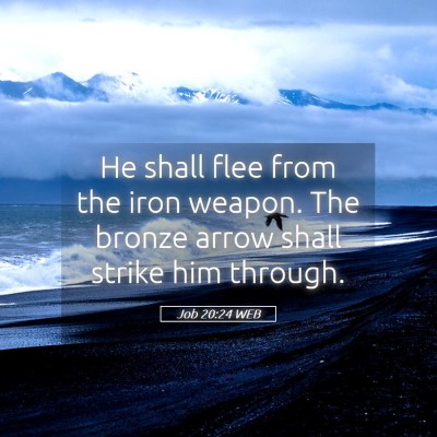 Picture 05 - Job 20:24 WEB - He shall flee from the iron weapon. The bronze - Bible Verse Picture