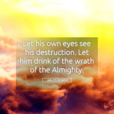 Picture 05 - Job 21:20 WEB - Let his own eyes see his destruction. Let him - Bible Verse Picture