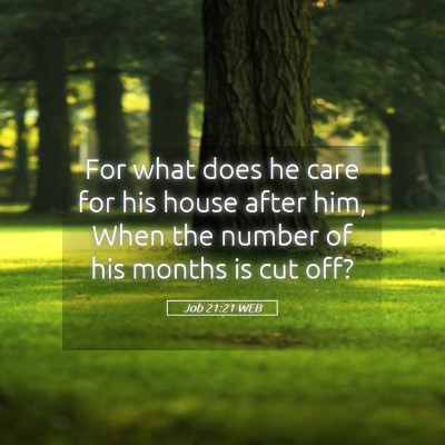 Picture 05 - Job 21:21 WEB - For what does he care for his house after him, - Bible Verse Picture
