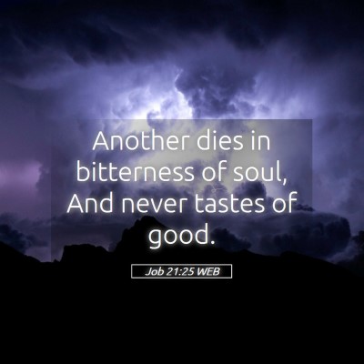 Picture 05 - Job 21:25 WEB - Another dies in bitterness of soul, And never - Bible Verse Picture