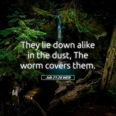 Picture 05 - Job 21:26 WEB - They lie down alike in the dust, The worm covers - Bible Verse Picture