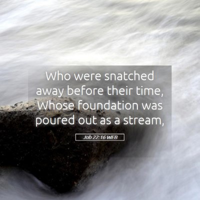 Picture 05 - Job 22:16 WEB - Who were snatched away before their time, Whose - Bible Verse Picture