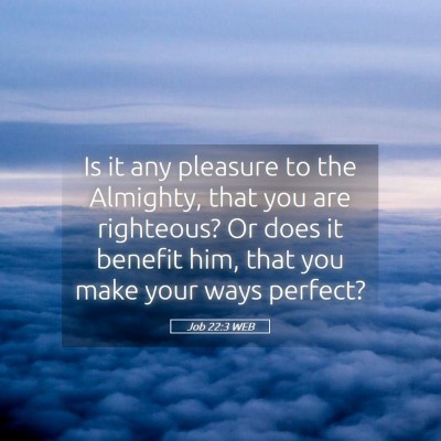 Picture 05 - Job 22:3 WEB - Is it any pleasure to the Almighty, that you are - Bible Verse Picture