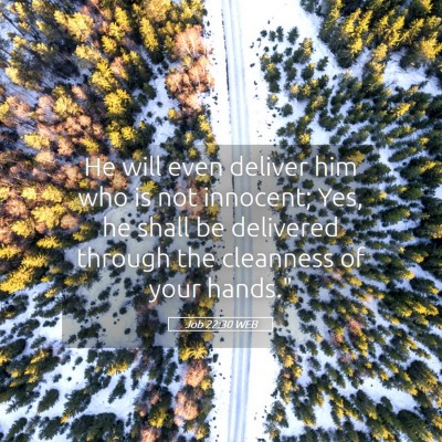Picture 05 - Job 22:30 WEB - He will even deliver him who is not innocent; - Bible Verse Picture