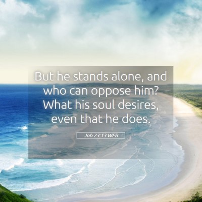 Picture 05 - Job 23:13 WEB - But he stands alone, and who can oppose him? What - Bible Verse Picture