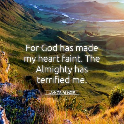 Picture 05 - Job 23:16 WEB - For God has made my heart faint. The Almighty has - Bible Verse Picture