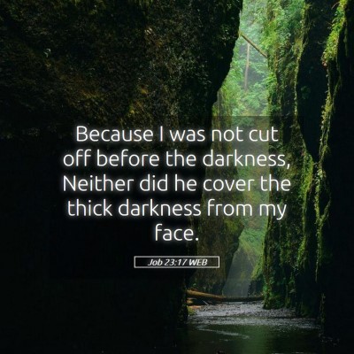 Picture 05 - Job 23:17 WEB - Because I was not cut off before the darkness, - Bible Verse Picture