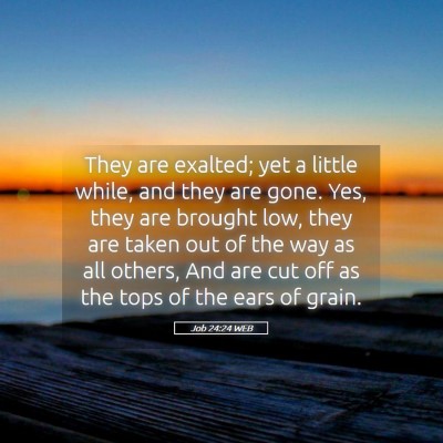 Picture 05 - Job 24:24 WEB - They are exalted; yet a little while, and they - Bible Verse Picture