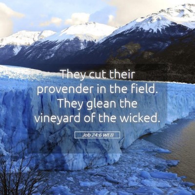 Picture 05 - Job 24:6 WEB - They cut their provender in the field. They glean - Bible Verse Picture