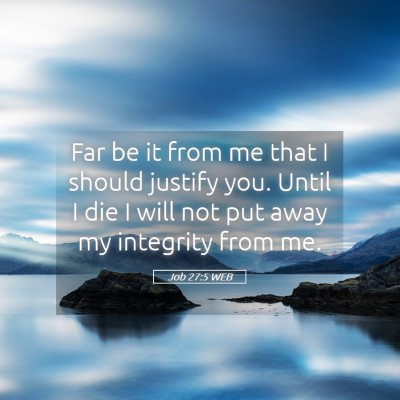 Picture 05 - Job 27:5 WEB - Far be it from me that I should justify you. - Bible Verse Picture