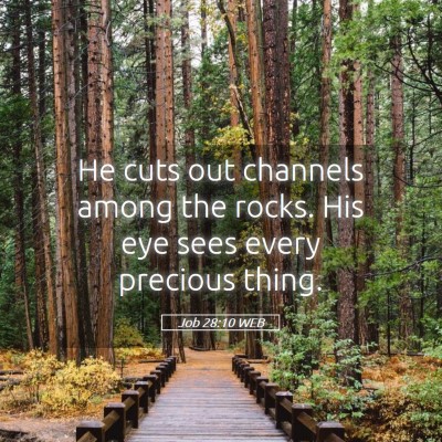 Picture 05 - Job 28:10 WEB - He cuts out channels among the rocks. His eye - Bible Verse Picture