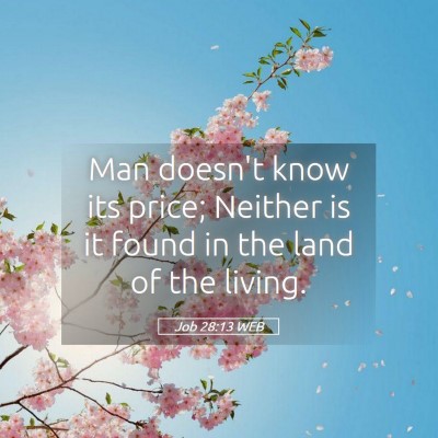 Picture 05 - Job 28:13 WEB - Man doesn't know its price; Neither is it found - Bible Verse Picture