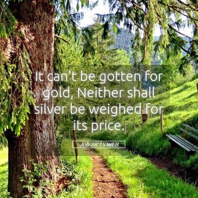 Picture 05 - Job 28:15 WEB - It can't be gotten for gold, Neither shall silver - Bible Verse Picture