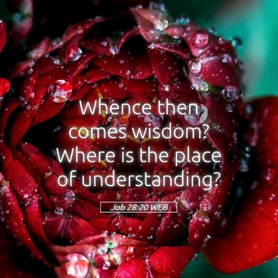 Picture 05 - Job 28:20 WEB - Whence then comes wisdom? Where is the place of - Bible Verse Picture