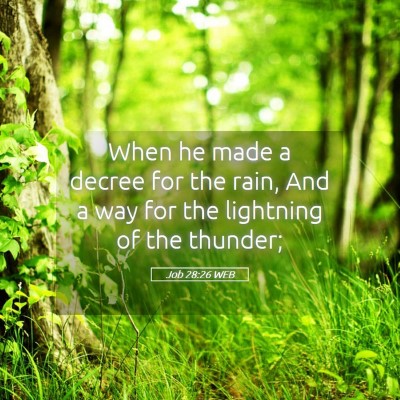 Picture 05 - Job 28:26 WEB - When he made a decree for the rain, And a way for - Bible Verse Picture