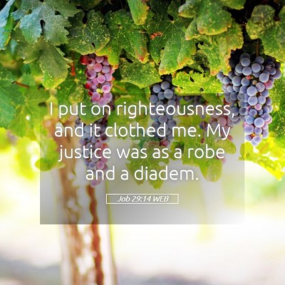 Picture 05 - Job 29:14 WEB - I put on righteousness, and it clothed me. My - Bible Verse Picture