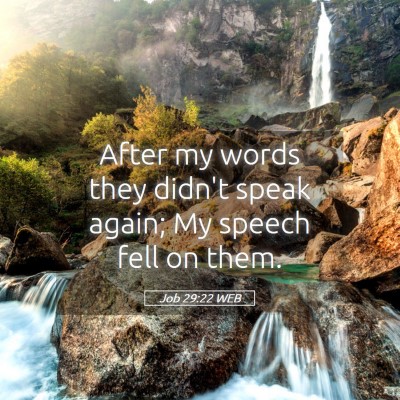 Picture 05 - Job 29:22 WEB - After my words they didn't speak again; My speech - Bible Verse Picture