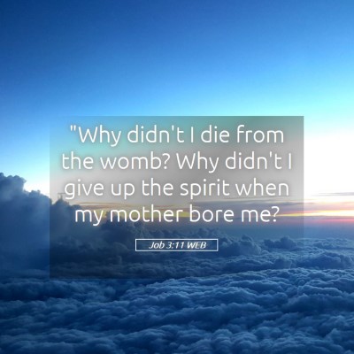 Picture 05 - Job 3:11 WEB - 