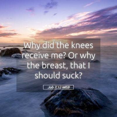 Picture 05 - Job 3:12 WEB - Why did the knees receive me? Or why the breast, - Bible Verse Picture
